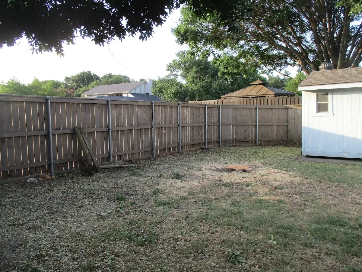 Cleared yard after professional tree removal in Ardsley